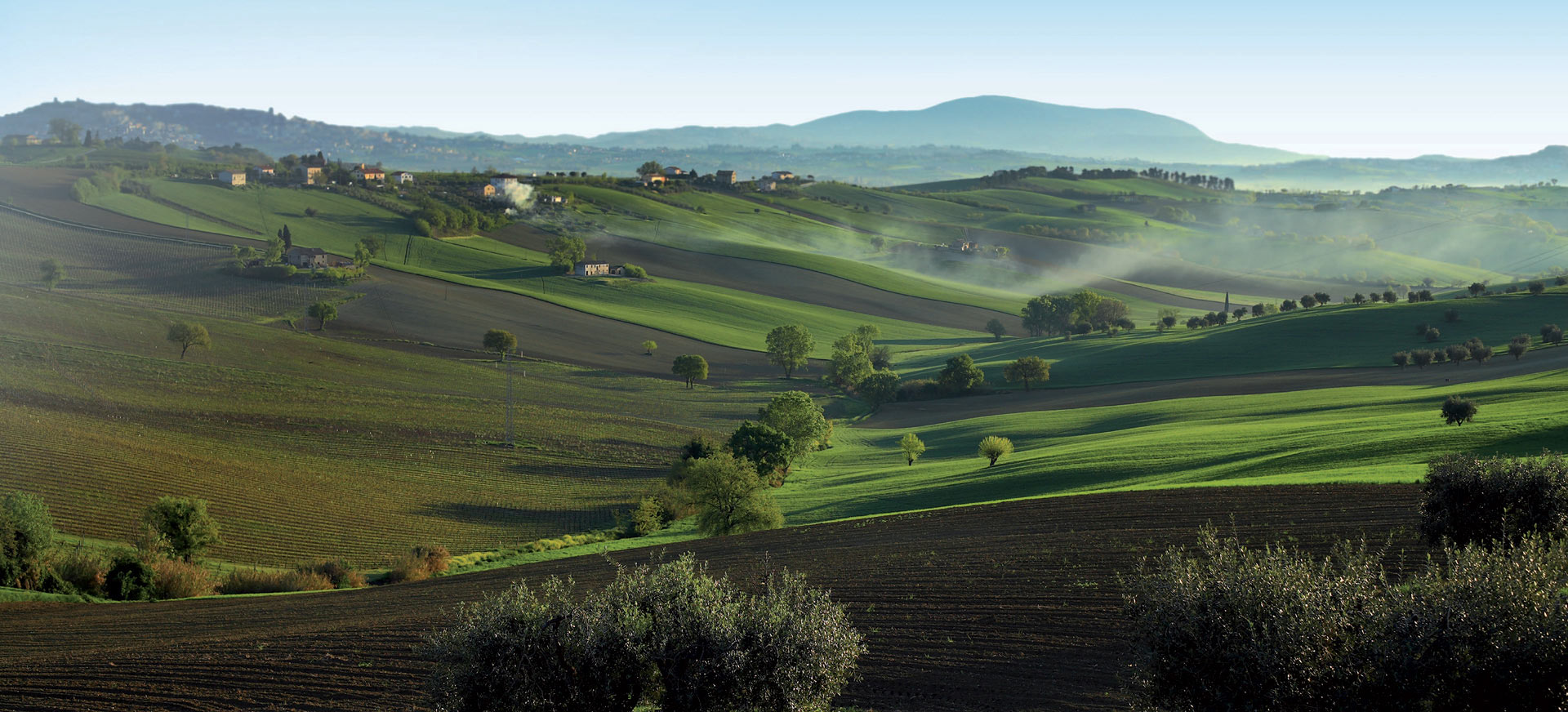 Header Image - Ambito Territoriale Caccia AN 2